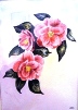 	22. Camellias by Barbara Hilton.JPG	